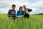 Drei Studenten im Getreidefeld